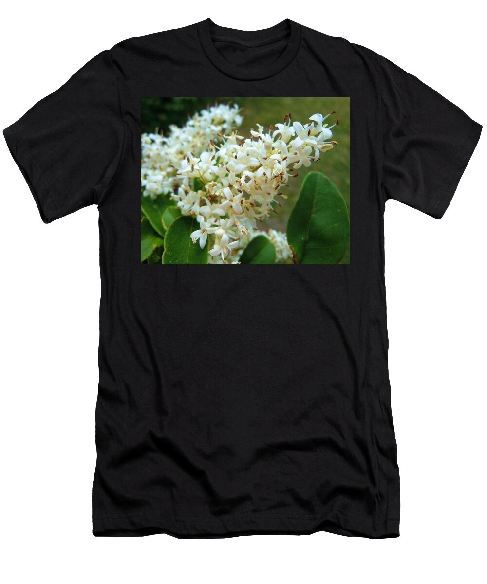 Honeysuckle Bush T-Shirt featuring the photograph Honeysuckle #1 by Robert ONeil