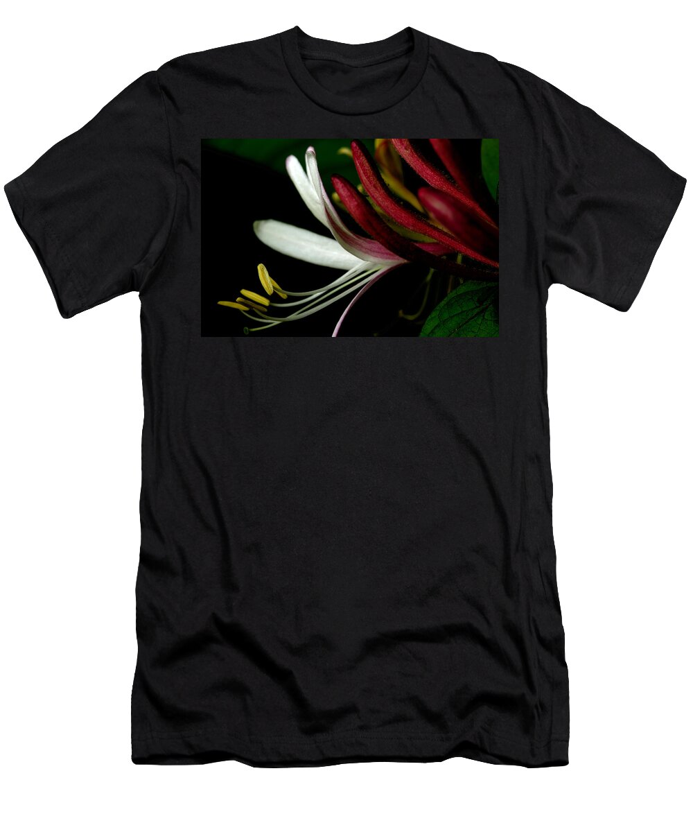 Lonicera Japonica T-Shirt featuring the photograph Honeysuckle On The Vine by Michael Eingle