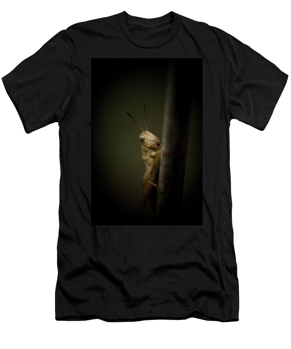 Grasshopper T-Shirt featuring the photograph hop by Shane Holsclaw