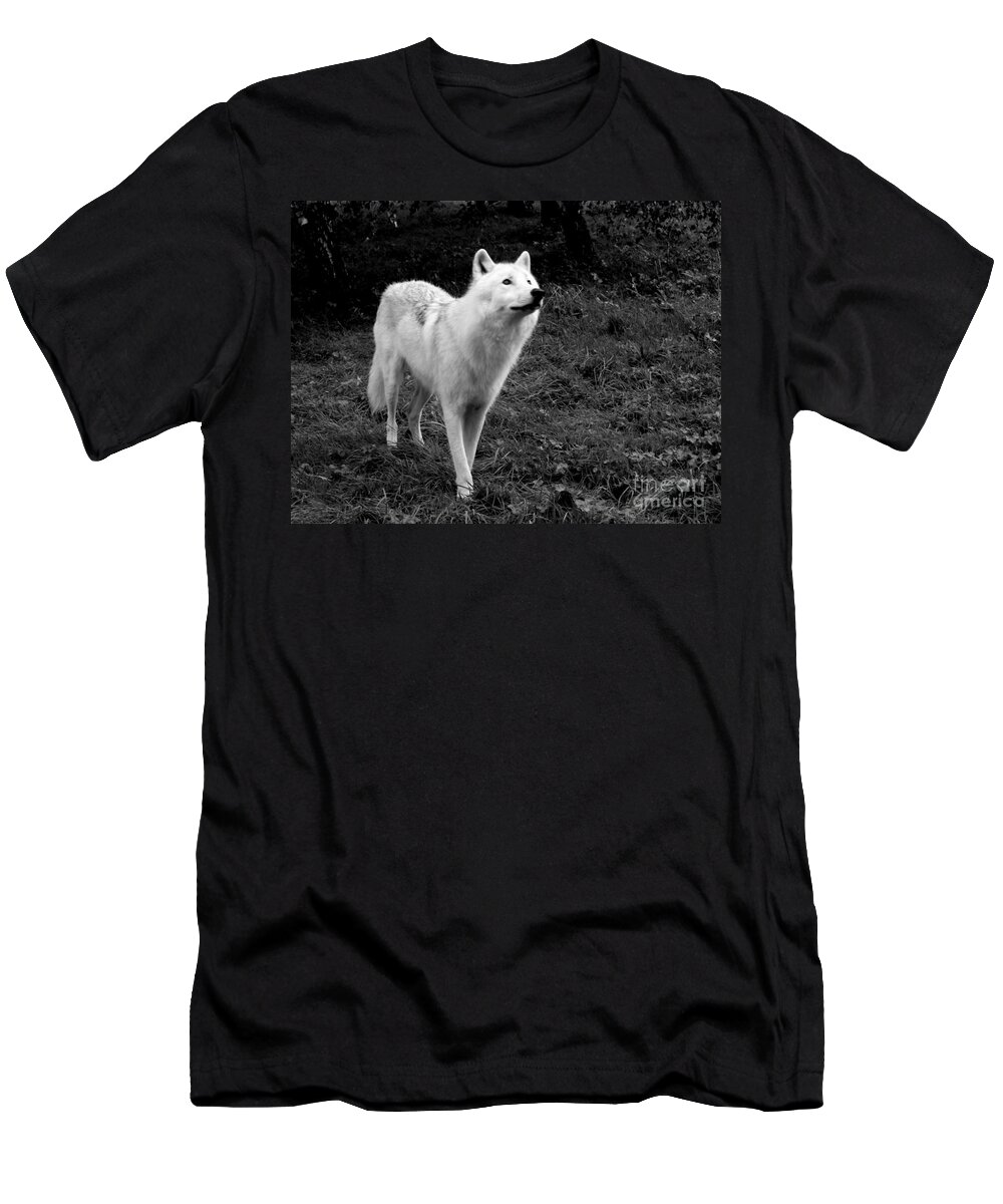 Arctic T-Shirt featuring the photograph Hopeful by Vicki Spindler