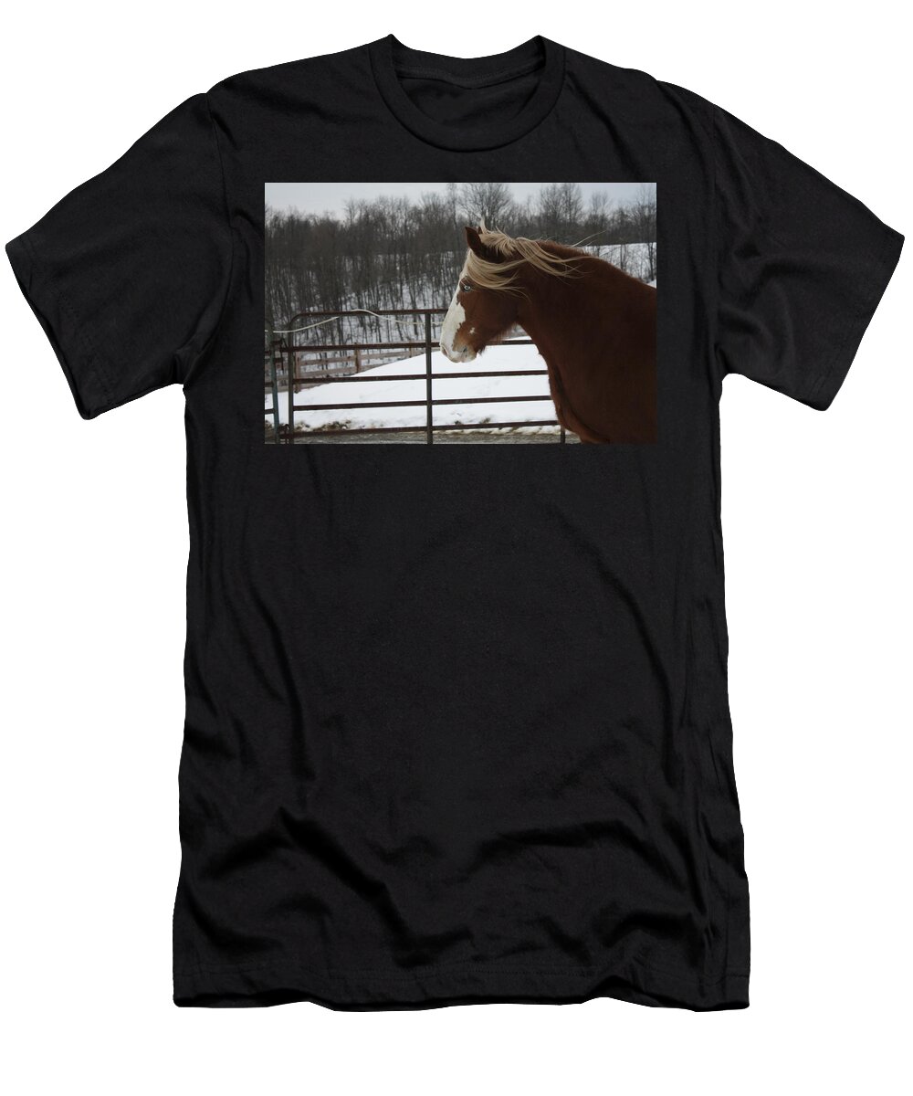 Snow T-Shirt featuring the photograph Horse 09 by David Yocum