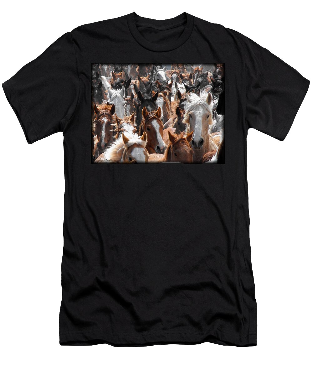 Horse T-Shirt featuring the photograph Horse Faces by Kae Cheatham