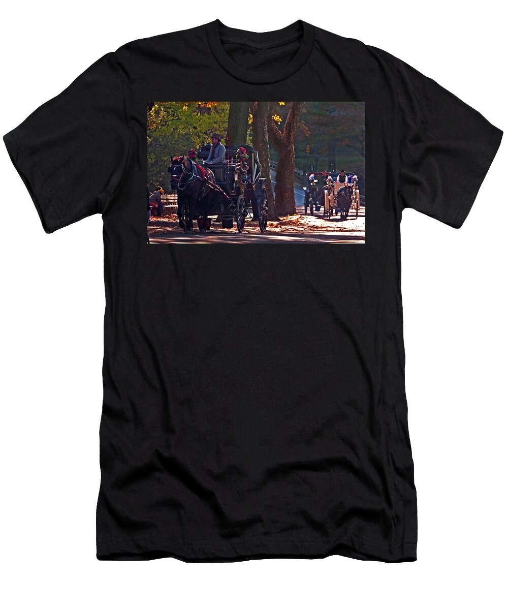 Central Park T-Shirt featuring the photograph Horse Play by S Paul Sahm