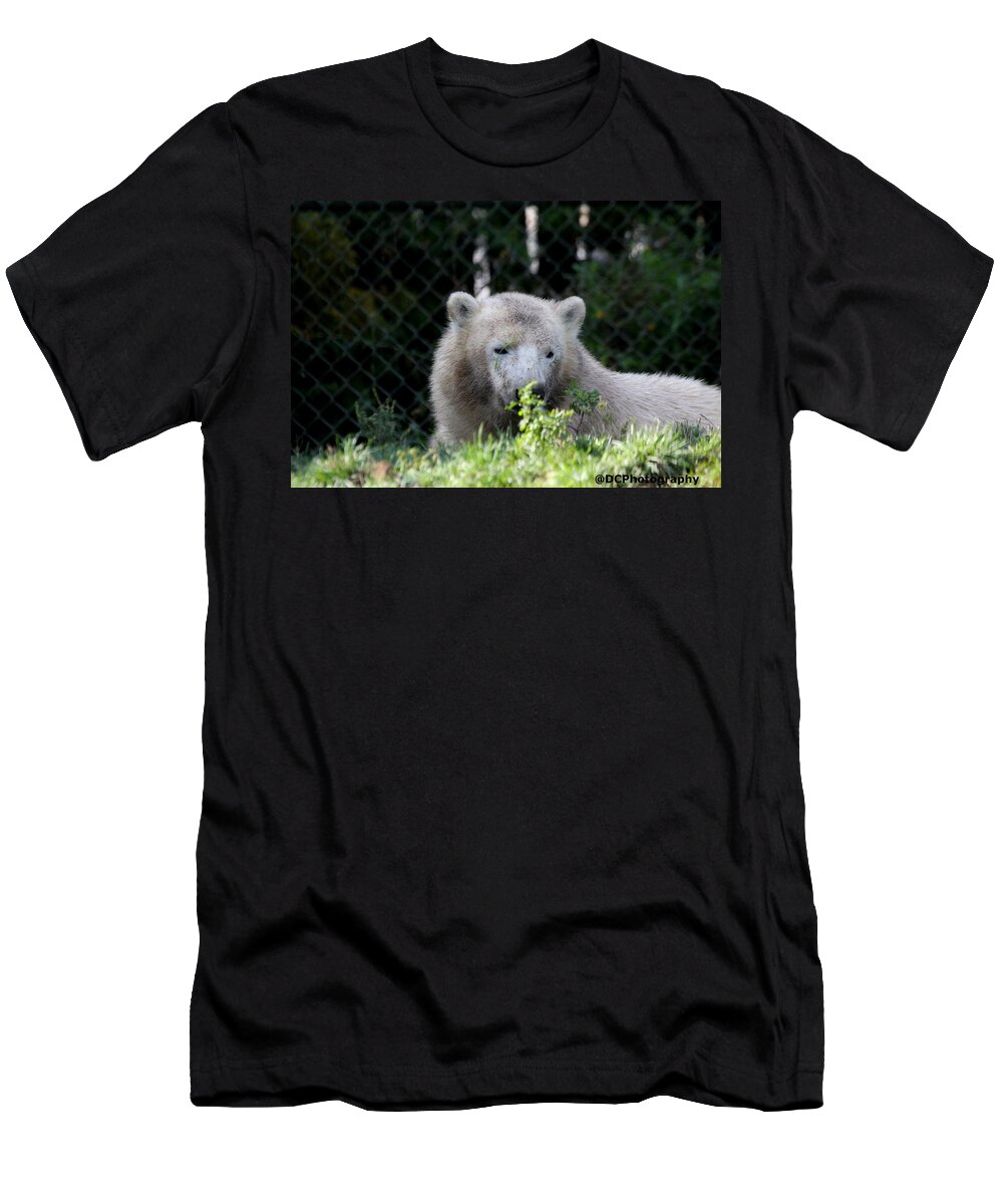 Animal T-Shirt featuring the photograph Hudson by Davandra Cribbie