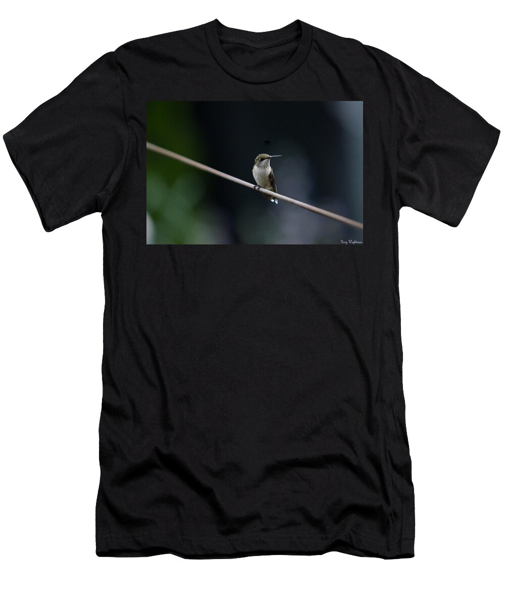 Bird T-Shirt featuring the photograph Hummingbird on a Wire by Gary Wightman