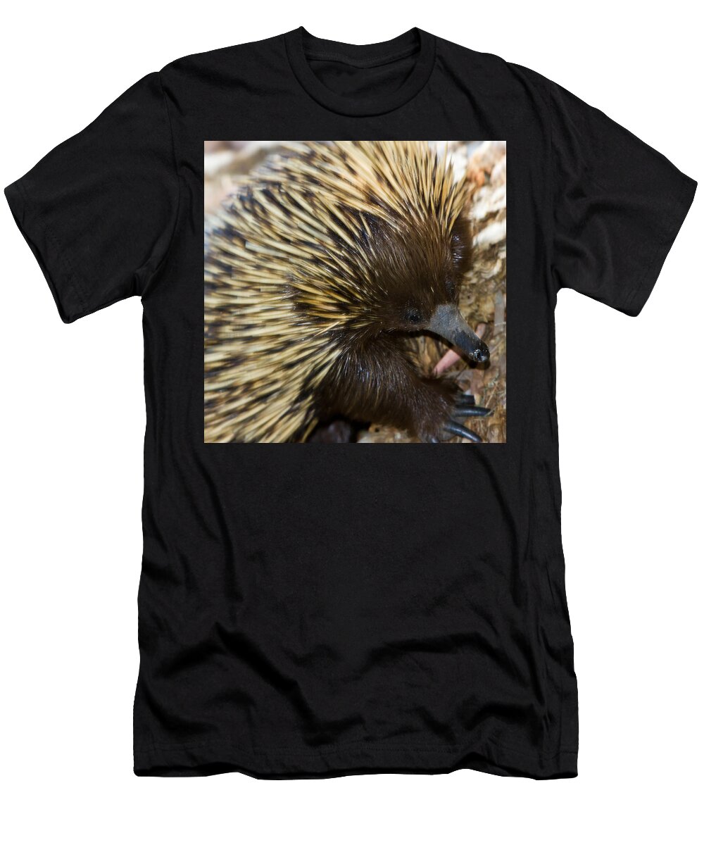 Echidna T-Shirt featuring the photograph I see some ants by Miroslava Jurcik