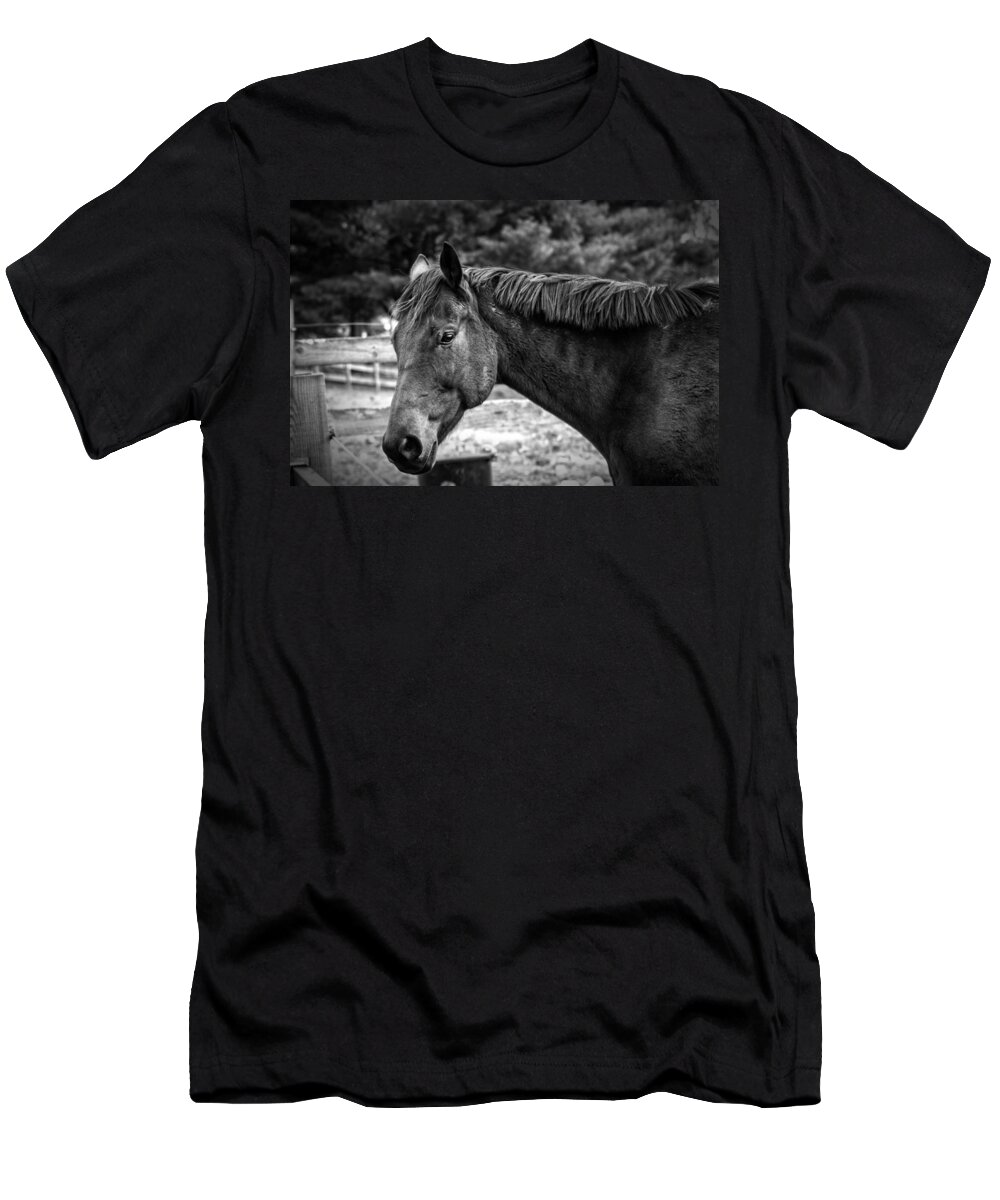 Horse T-Shirt featuring the photograph I see you by Rob Dietrich