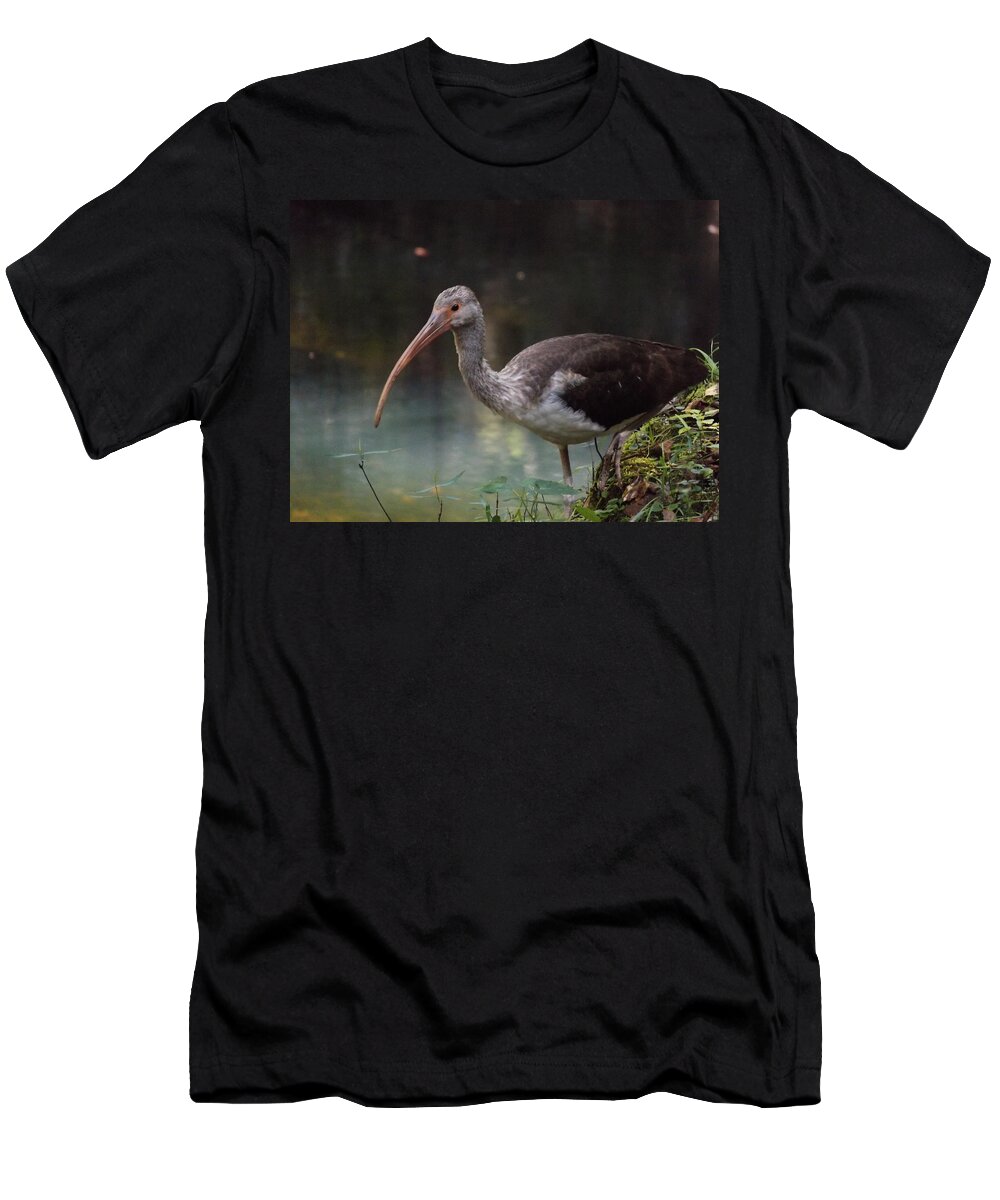 Ibis T-Shirt featuring the photograph Ibis Cute Face by Julie Pappas