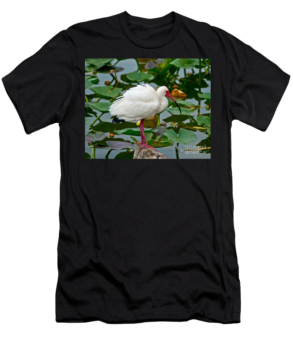 Ibis T-Shirt featuring the photograph Ibis in Pond by Stephen Whalen