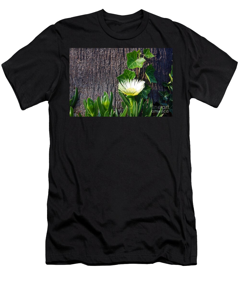 White Flowers T-Shirt featuring the photograph Ice Flower with Vine by Kelly Holm