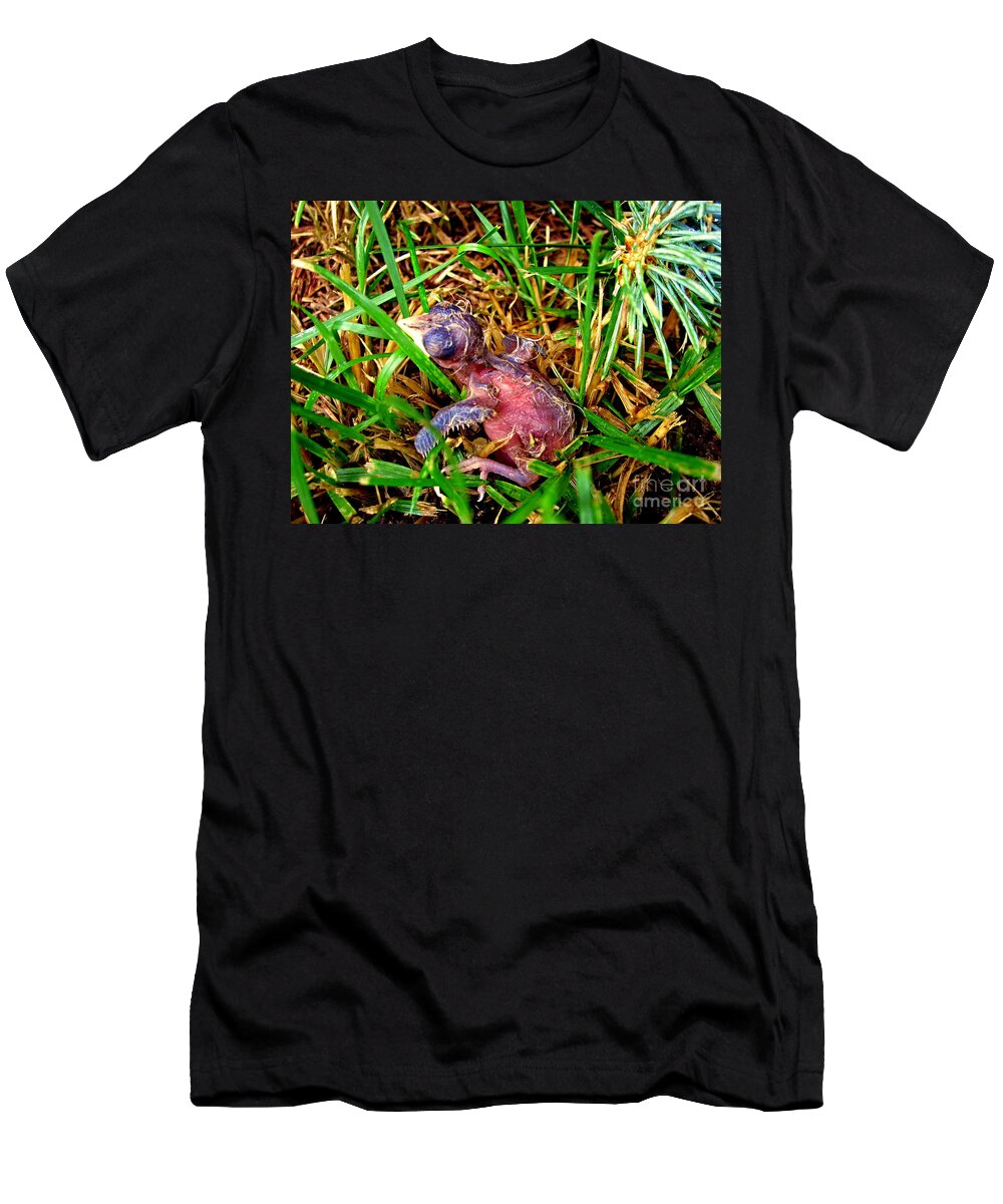 Wings　T-Shirt　Newcomb　Robin　Margaret　by　Could　Baby　Fly　Pixels　If　These