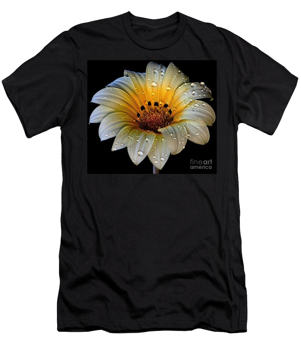 Gazania T-Shirt featuring the photograph In the Spotlight by Shirley Mangini