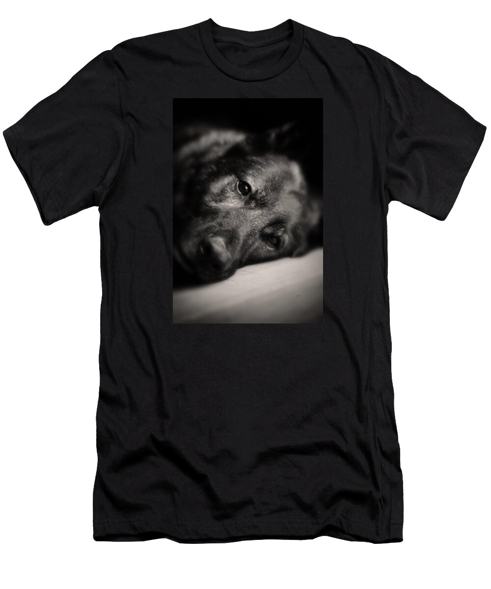German Shepherd T-Shirt featuring the photograph In Their Eyes by Karol Livote