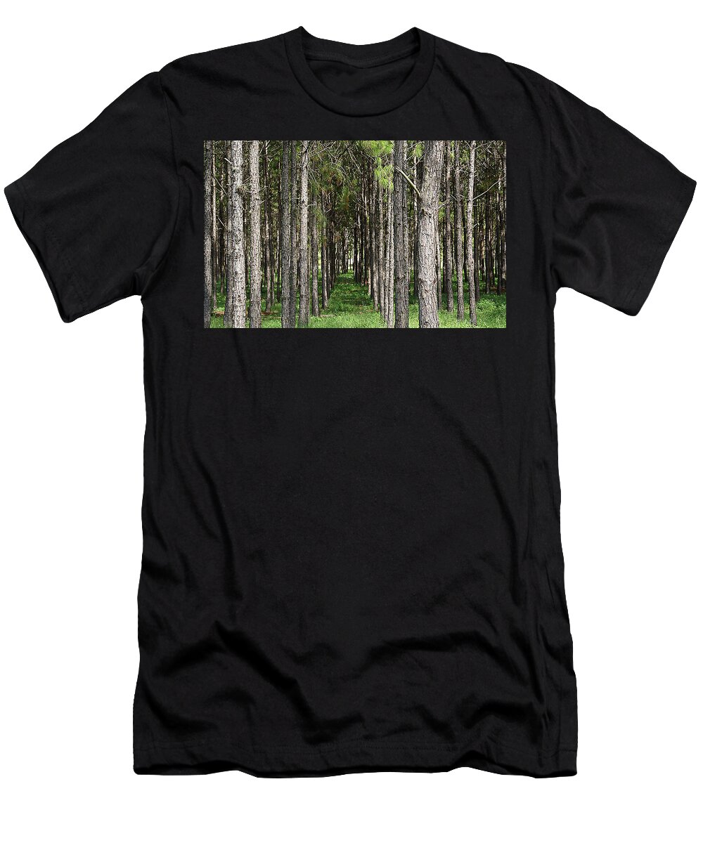 Line T-Shirt featuring the photograph Inline Trees by Chauncy Holmes