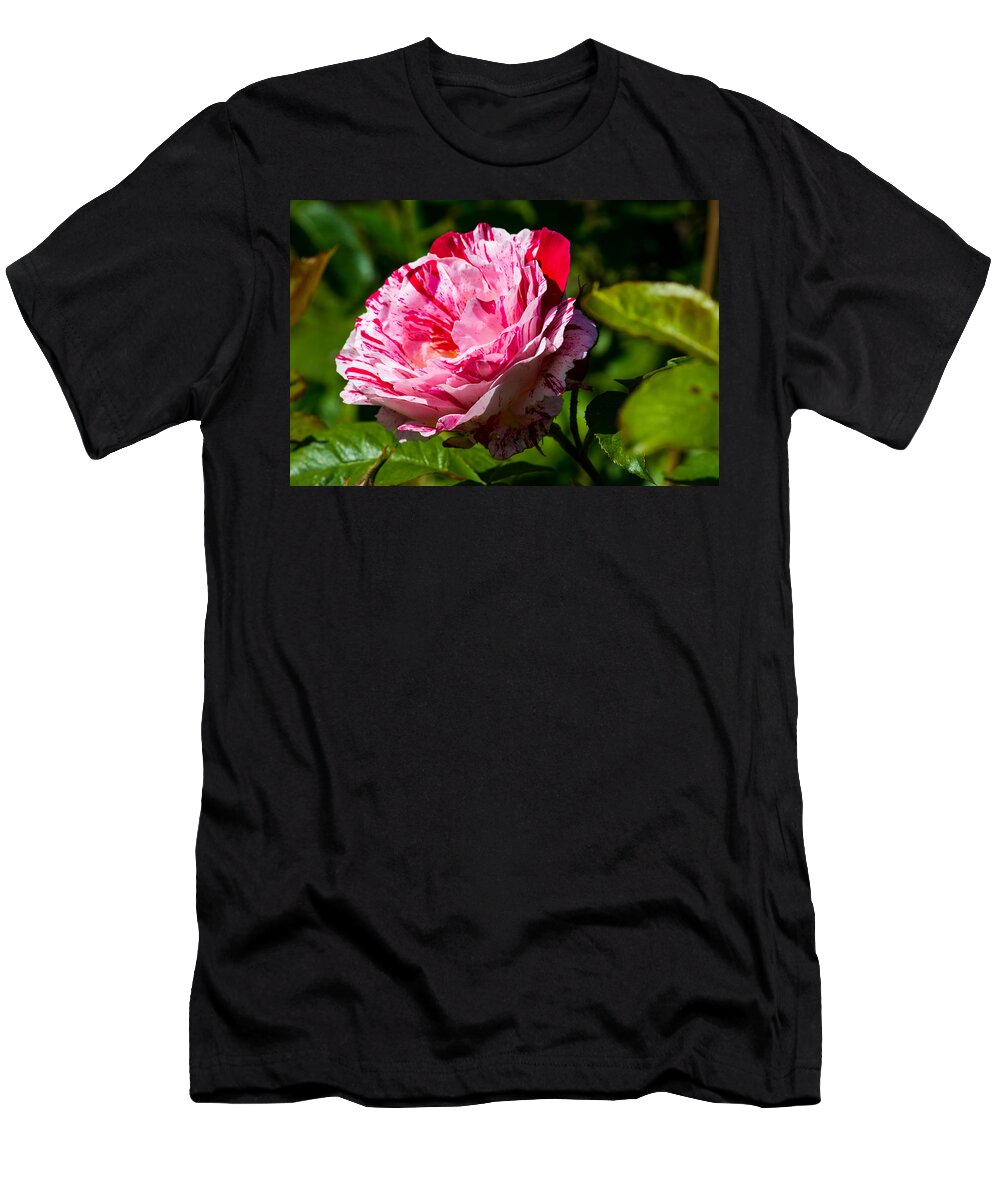 Red Rose T-Shirt featuring the photograph Innocent Love by Tikvah's Hope