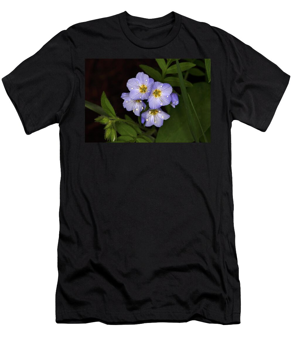 Colorado T-Shirt featuring the photograph Jacobs Ladder by Alan Vance Ley