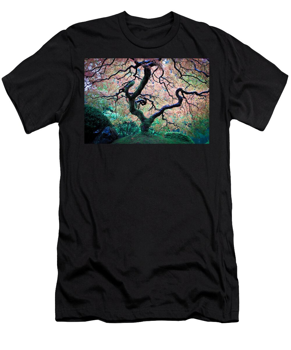 Japanese Maple Tree T-Shirt featuring the photograph Japanese Maple In Autumn by Athena Mckinzie