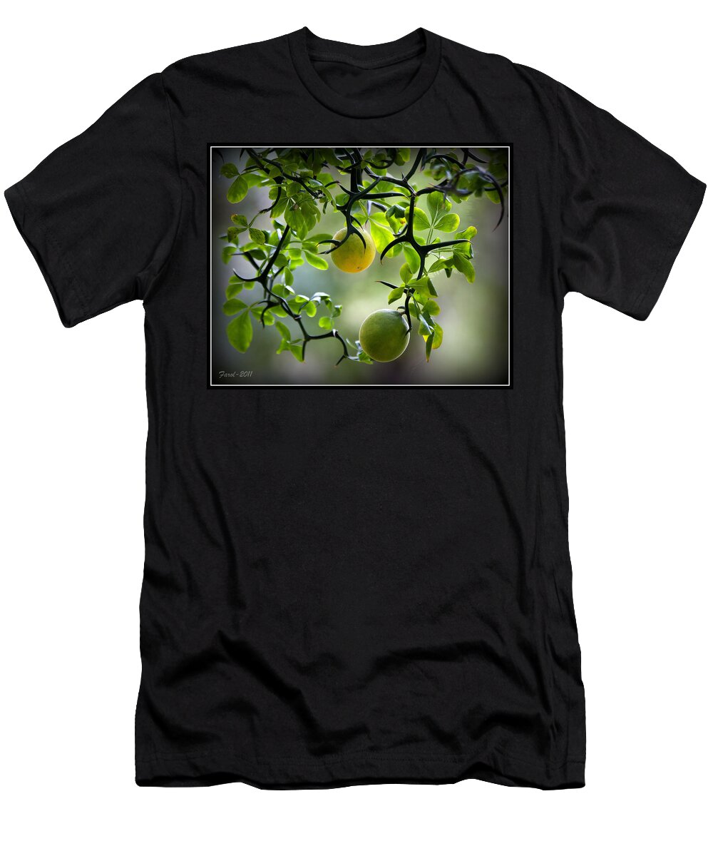 Flying T-Shirt featuring the photograph Japanese Orange Tree by Farol Tomson