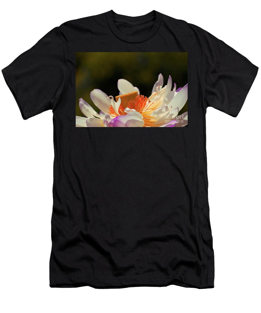 Lotus T-Shirt featuring the photograph Japenese Jewel by Aimelle Ml