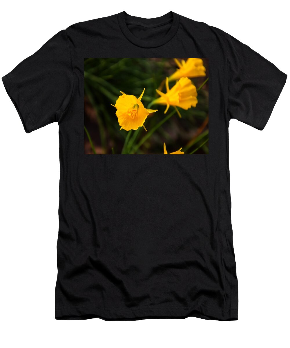 North Carolina T-Shirt featuring the photograph Jelena Witch Hazel by Flees Photos
