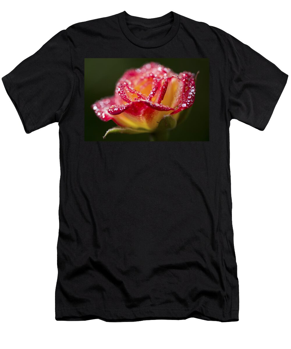 Rose T-Shirt featuring the photograph Jewels by Priya Ghose