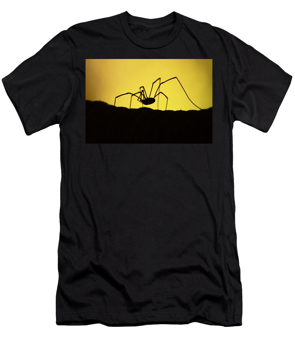 Spider T-Shirt featuring the photograph Just Creepy by Lori Tambakis