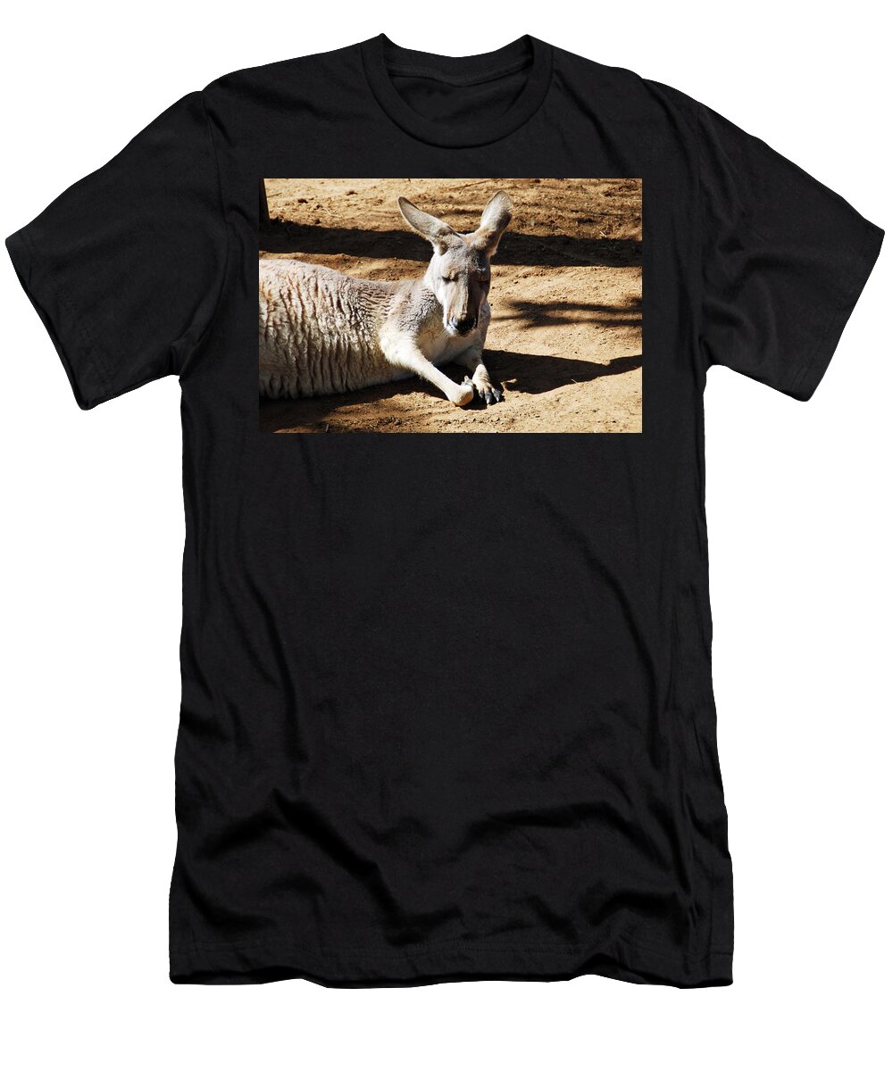 Kangaroo T-Shirt featuring the photograph Kangaroo by Aimee L Maher ALM GALLERY