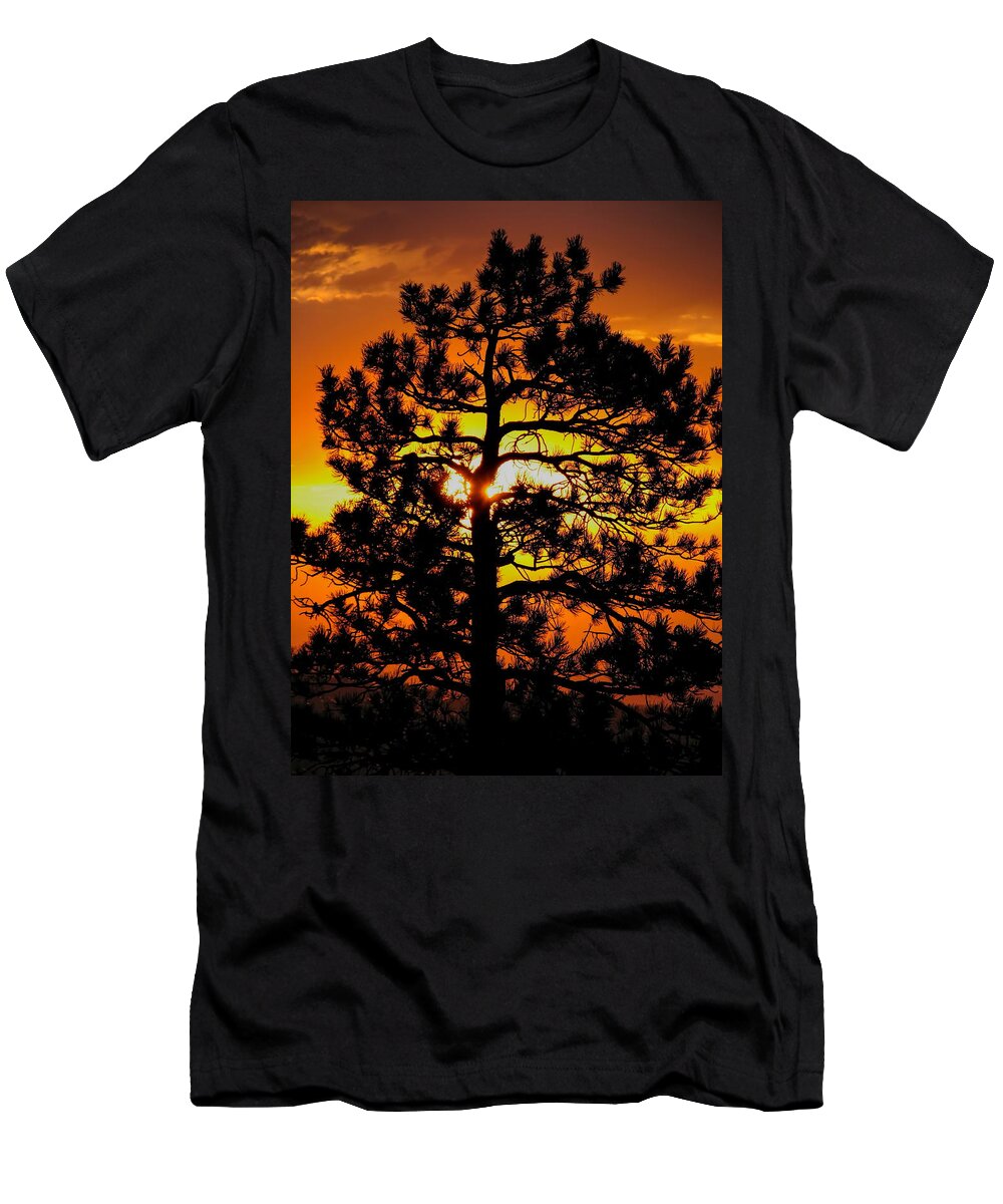 Sunrise T-Shirt featuring the photograph Keystone Pine by Dale Kauzlaric