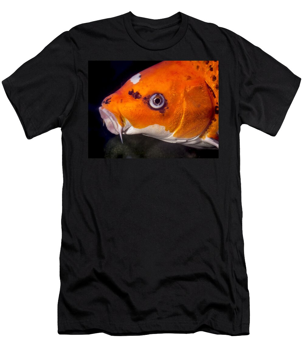 Koi T-Shirt featuring the photograph Koi Soliciting a Kiss by Jean Noren