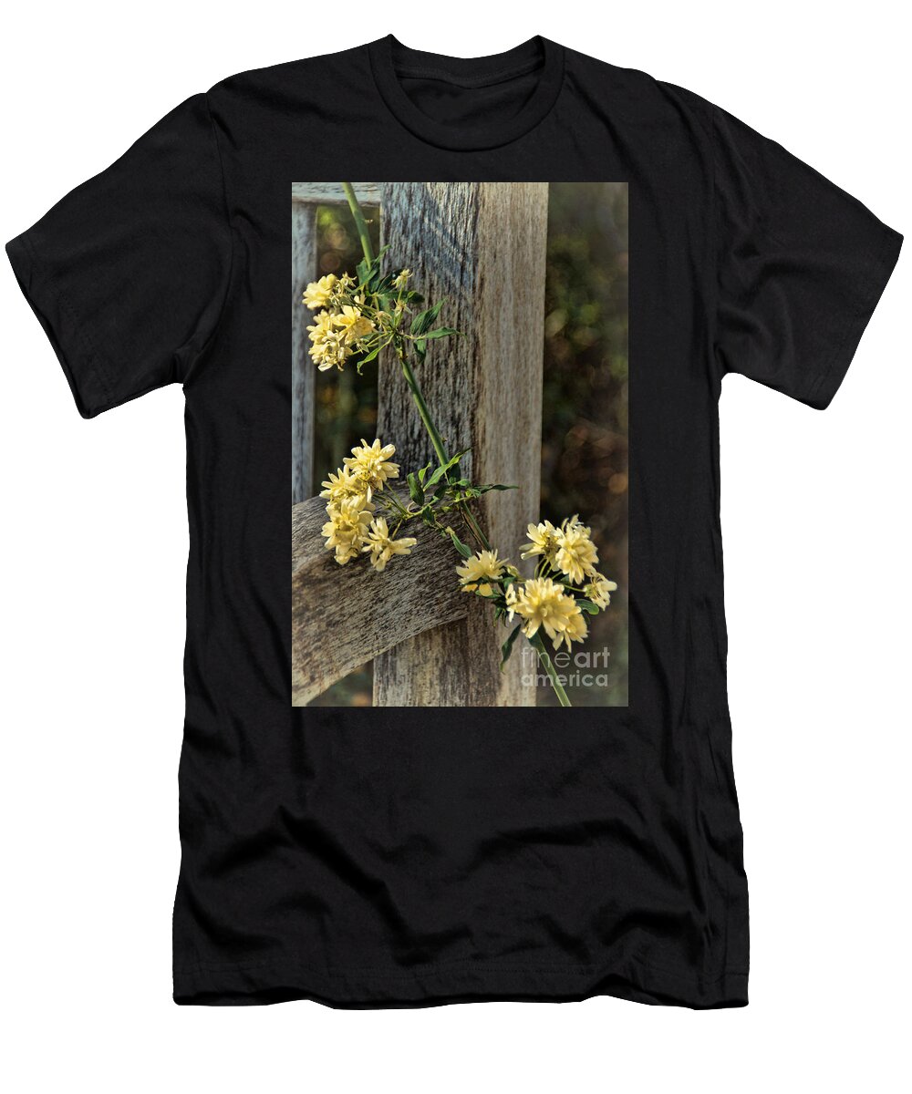 Rose T-Shirt featuring the photograph Lady Banks Rose by Peggy Hughes