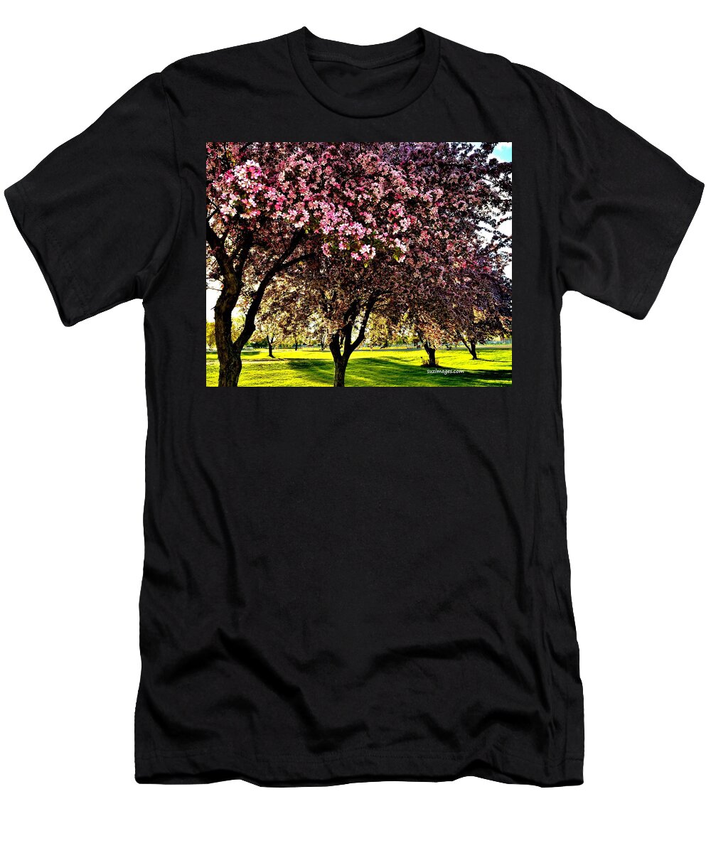 Flowering Trees T-Shirt featuring the photograph Late Afternoon at Lake Park by Susie Loechler