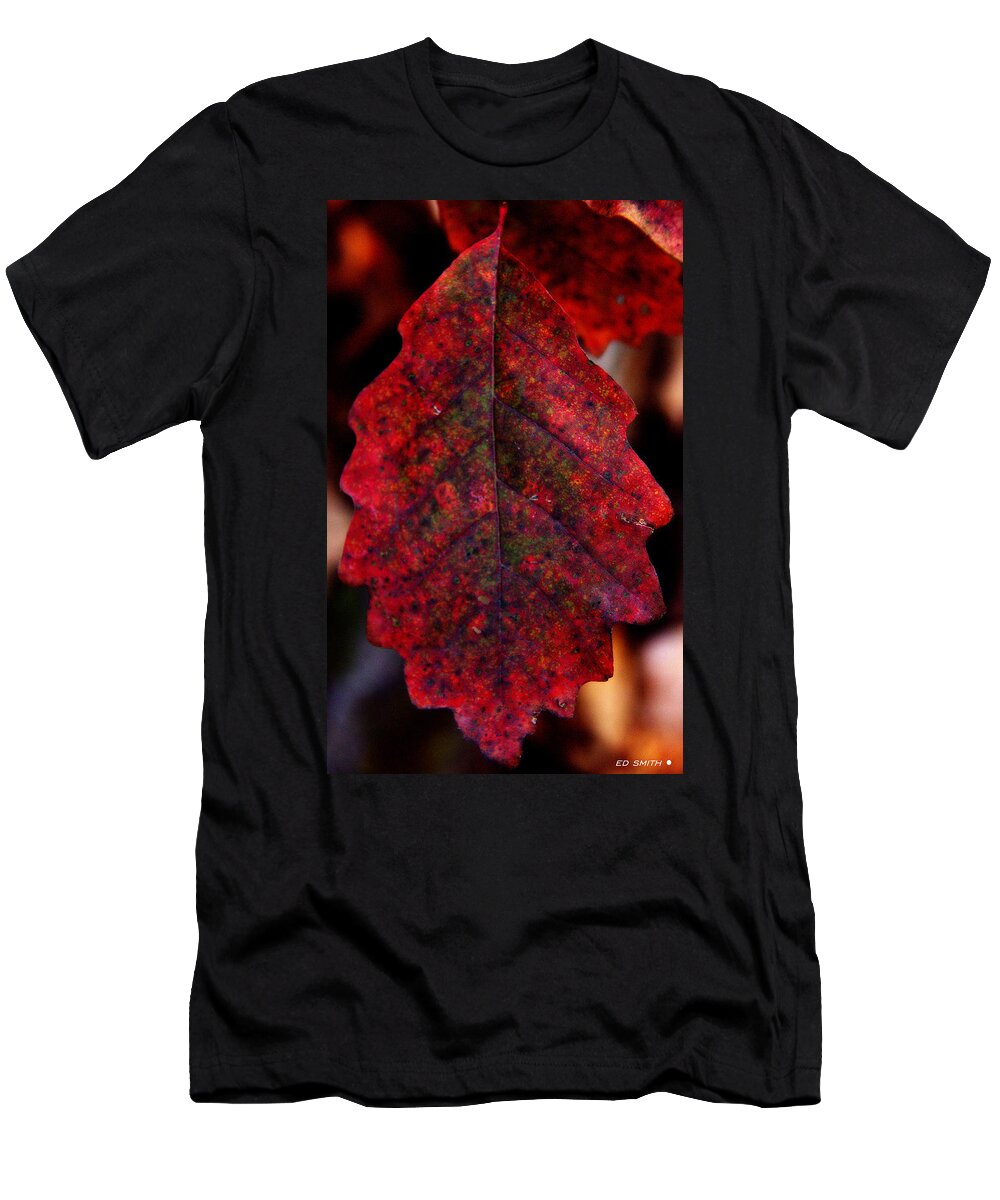 Leaf Like T-Shirt featuring the photograph Leaf Like by Edward Smith