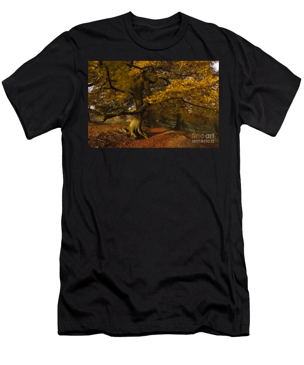 Abstract T-Shirt featuring the photograph Leafy Lane by Anne Gilbert