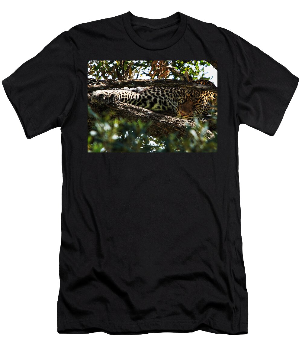 Leopard T-Shirt featuring the photograph Leopard In A Tree by Aidan Moran