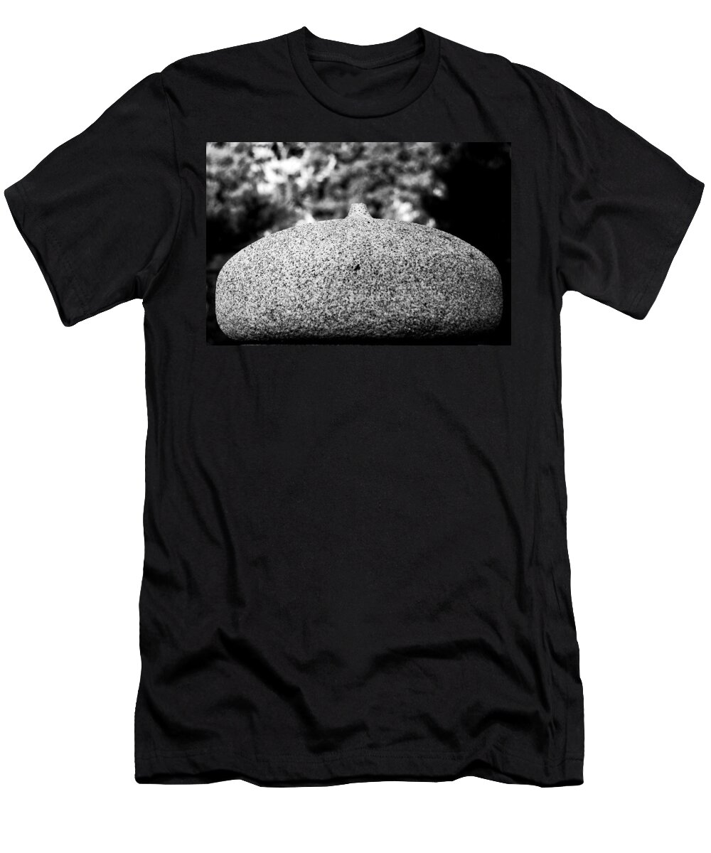 Stone T-Shirt featuring the photograph Lifestone by Gene Tatroe