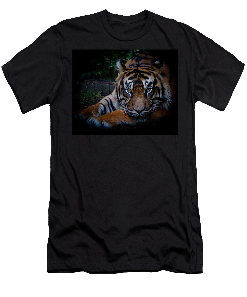 Tiger T-Shirt featuring the photograph Like My Eyes? by Robert L Jackson