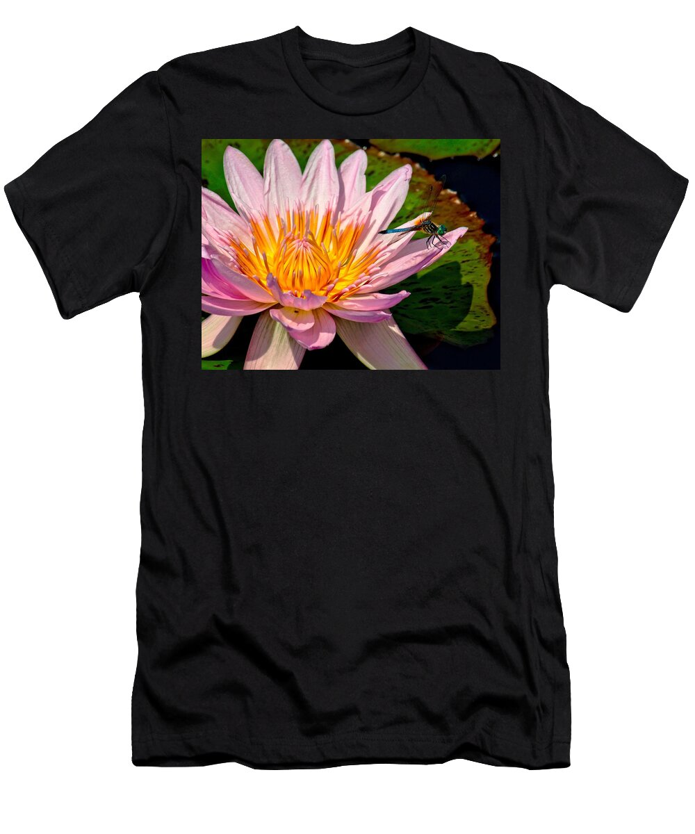 Aquatic T-Shirt featuring the photograph Lily and Dragon Fly by Nick Zelinsky Jr