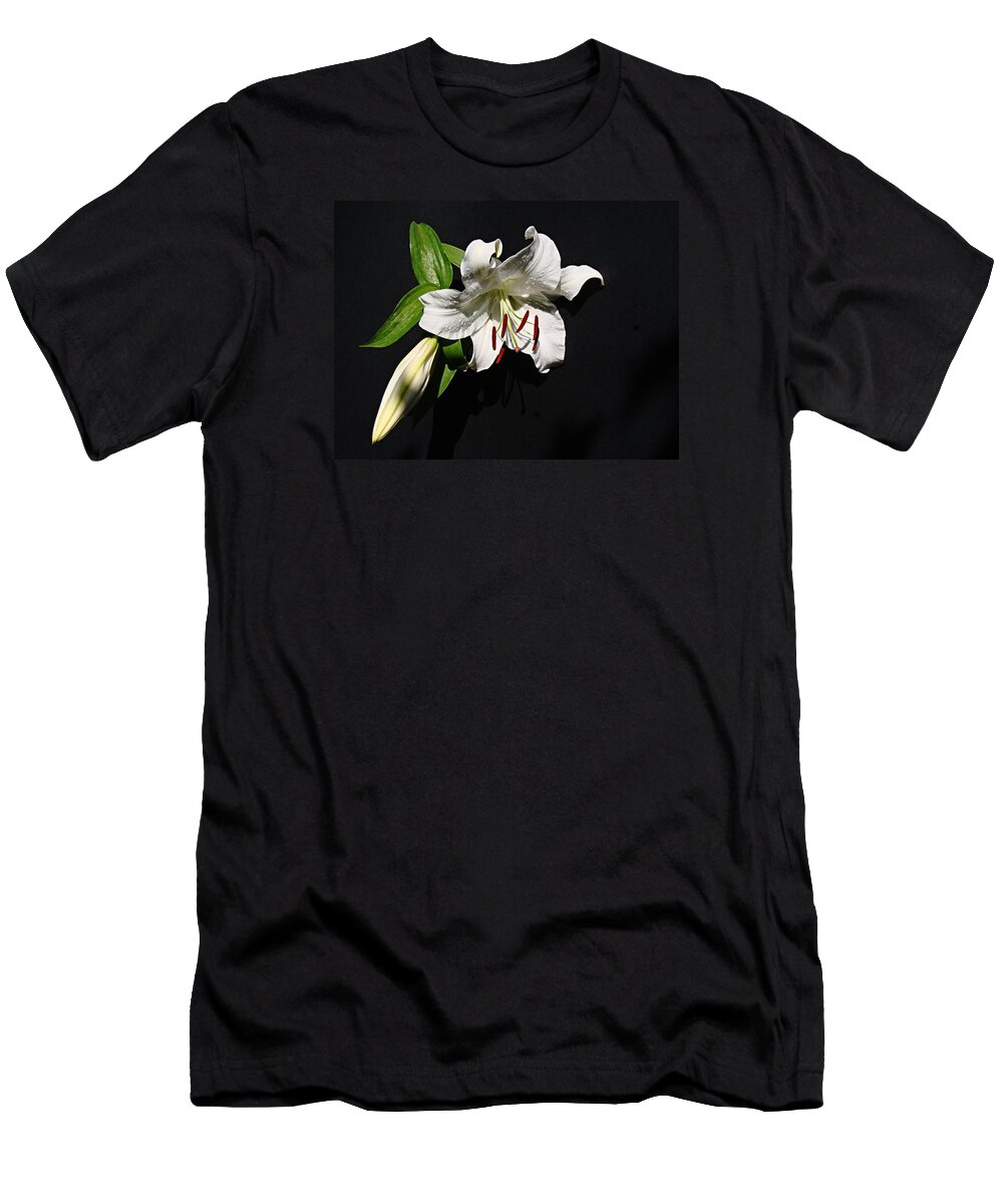 Lily T-Shirt featuring the photograph Lily at Daybreak by Nick Kloepping