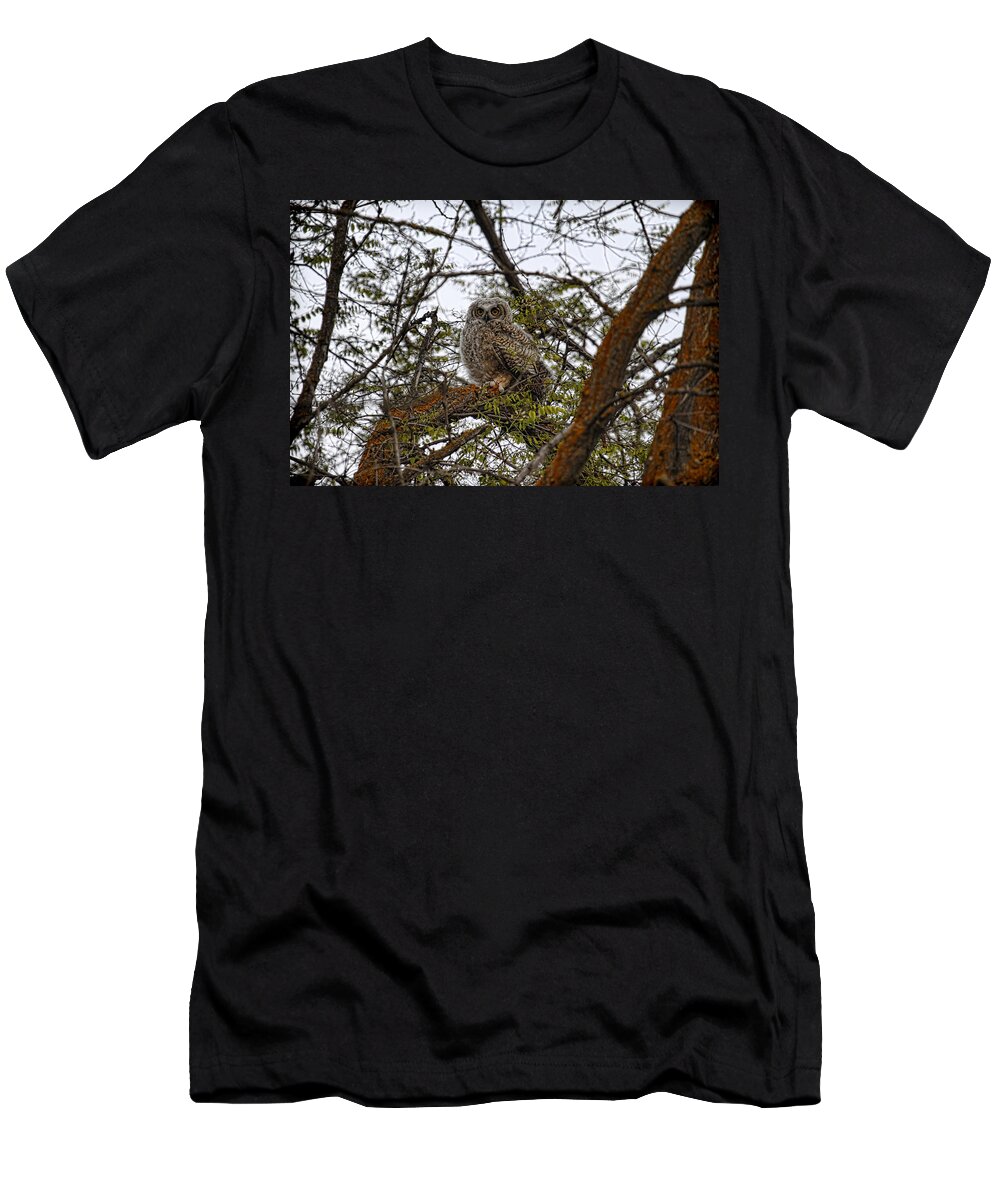 Horned Owl T-Shirt featuring the photograph Little One by Steve McKinzie