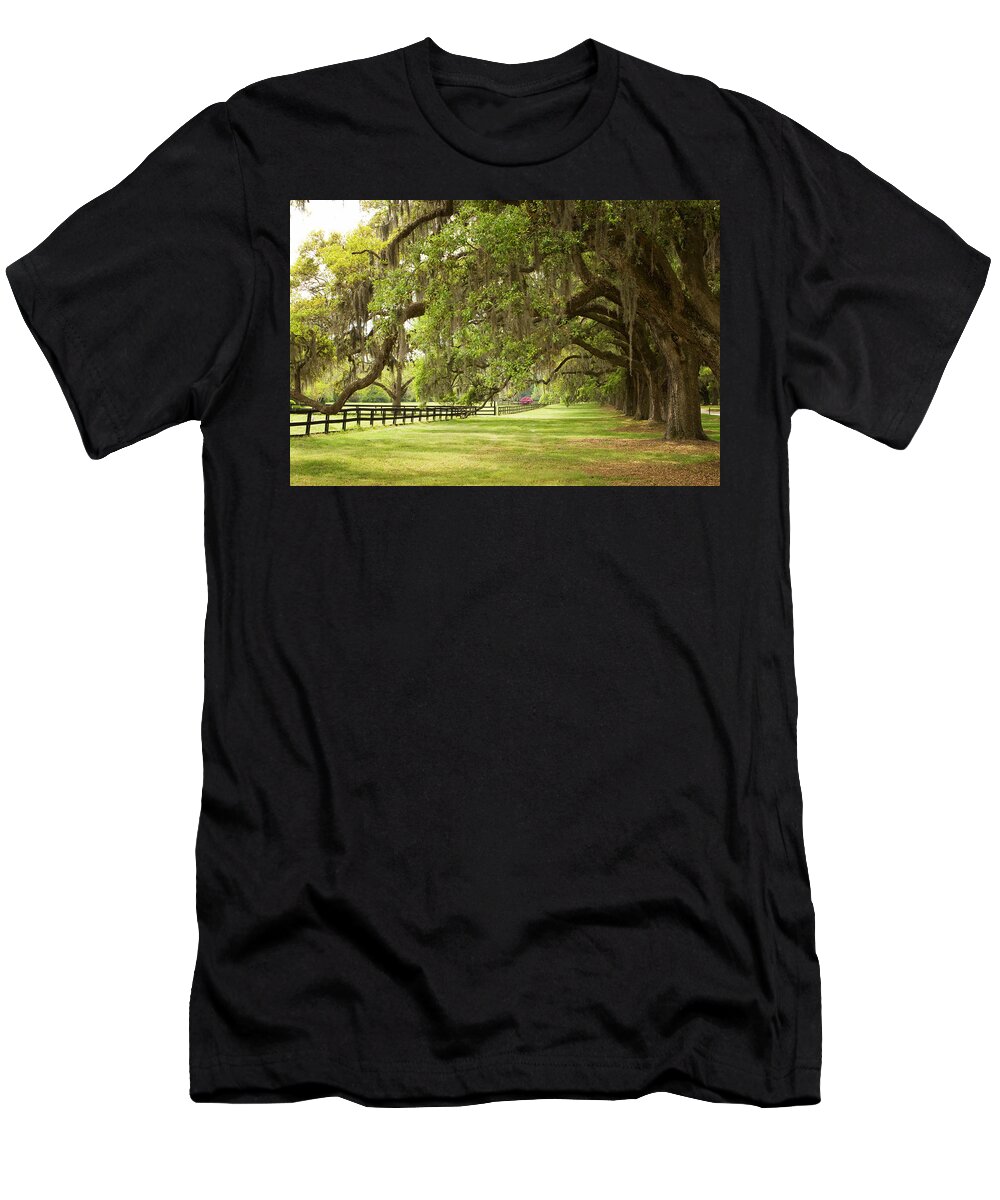 Oak Tree T-Shirt featuring the photograph Live Oak Trees in Charleston by Stephanie McDowell