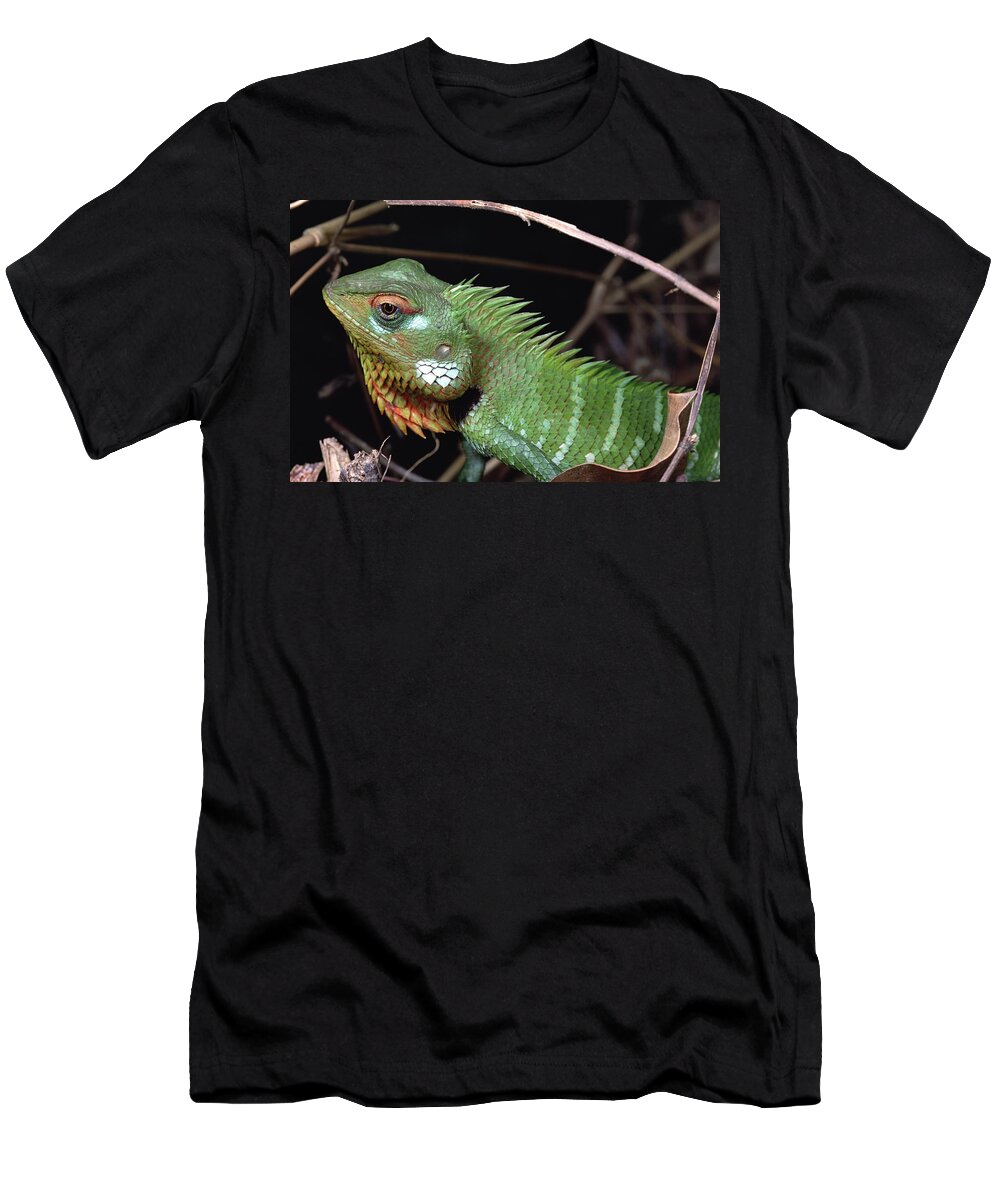 Feb0514 T-Shirt featuring the photograph Lizard Portrait Sinharaja Biosphere by Mark Moffett