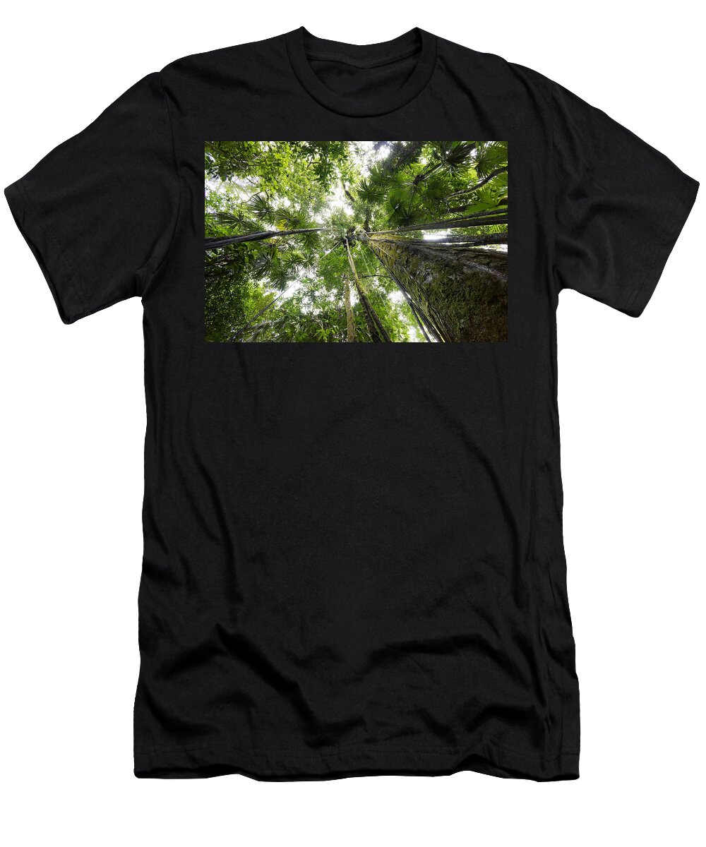 Feb0514 T-Shirt featuring the photograph Looking Up To Rainforest Canopy Costa by Hiroya Minakuchi