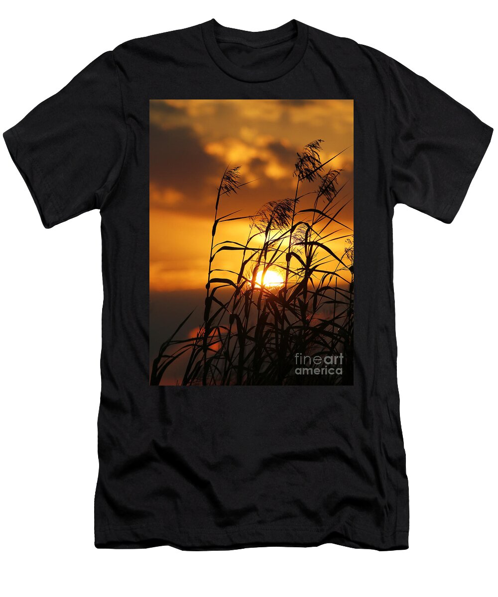 Sunset Photography T-Shirt featuring the photograph Louisiana Marsh Sunset by Luana K Perez