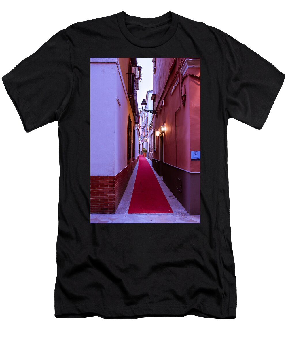 Architecture T-Shirt featuring the photograph Magic Carpet Ride by AM FineArtPrints