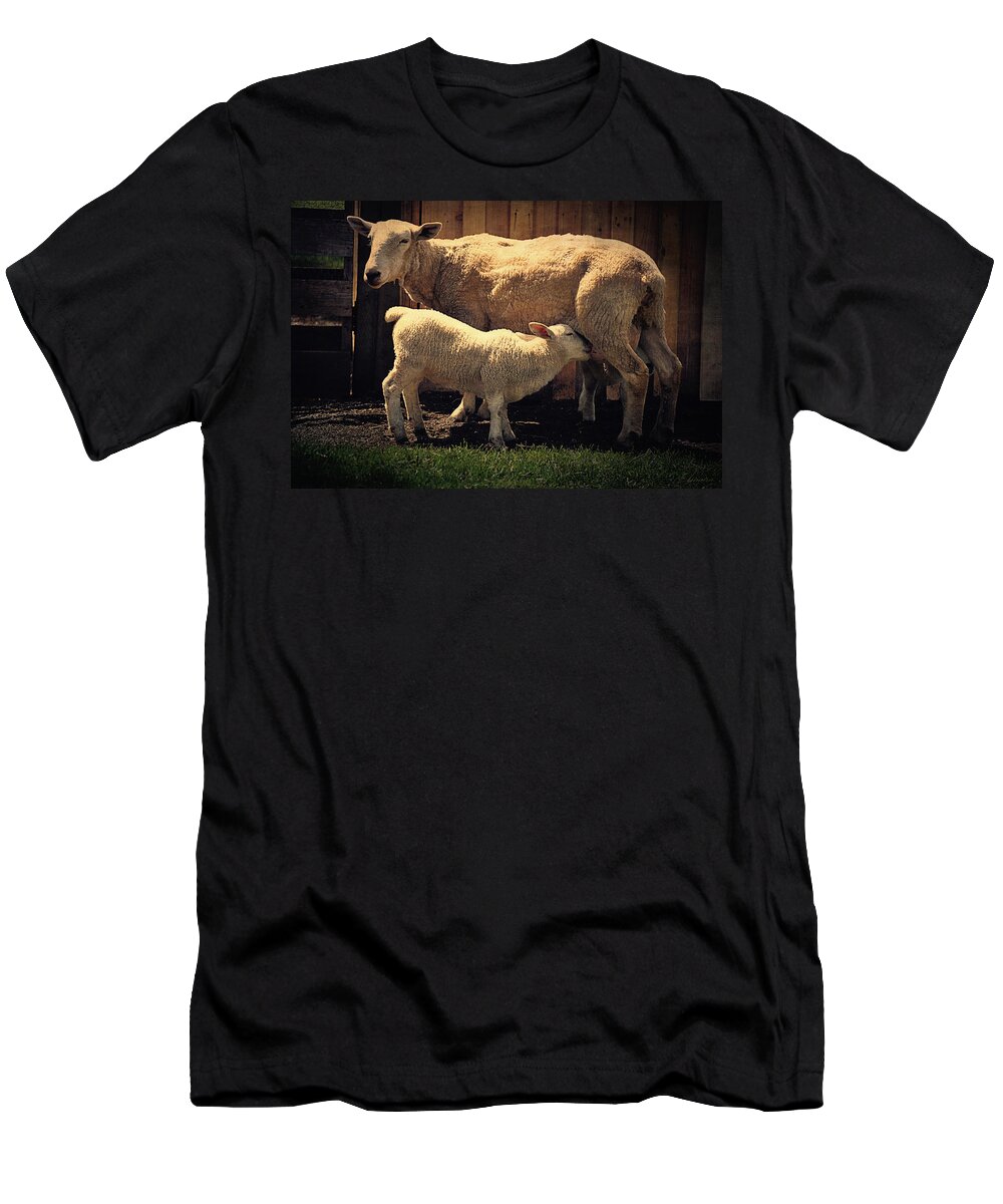 White T-Shirt featuring the photograph Mama Sheep And Baby Lamb by Maria Angelica Maira