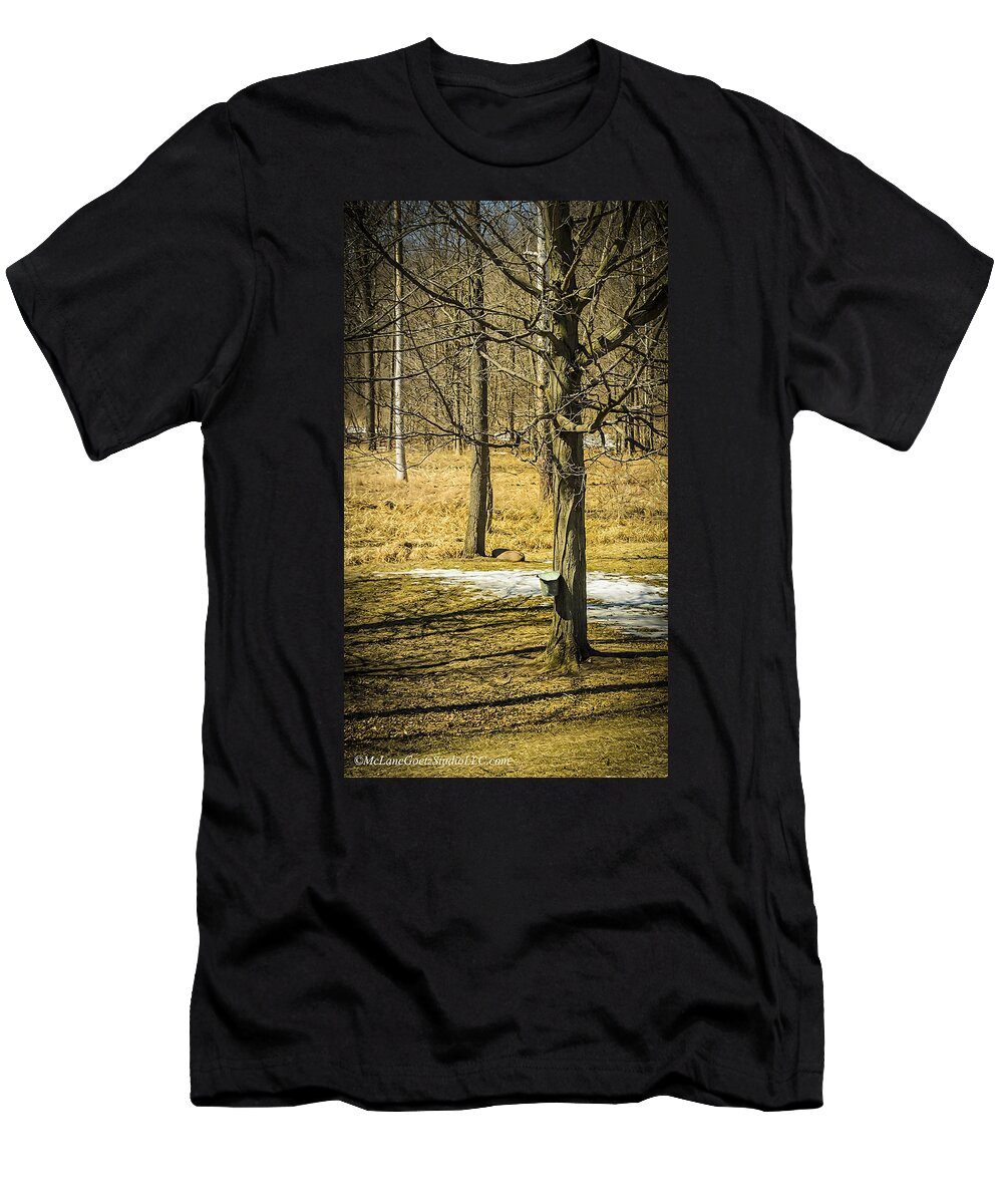 Trees T-Shirt featuring the photograph Maple Syrup Time by LeeAnn McLaneGoetz McLaneGoetzStudioLLCcom