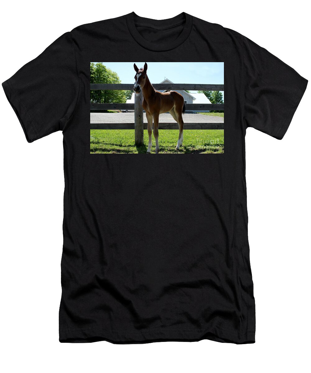 Foal T-Shirt featuring the photograph Mare Foal91 by Janice Byer