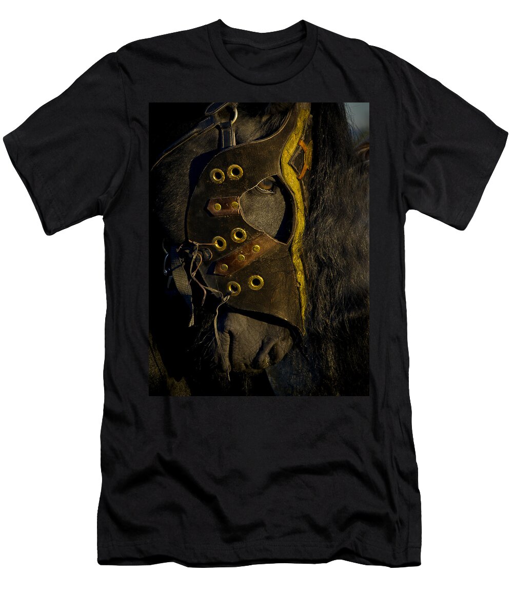 Medieval Stallion T-Shirt featuring the photograph Medieval Stallion by Wes and Dotty Weber