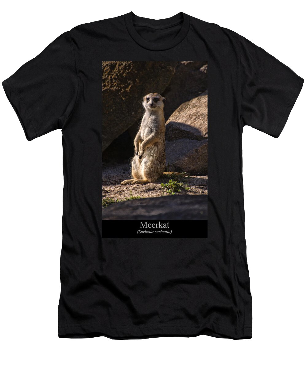Class Room Posters T-Shirt featuring the digital art Meerkat by Flees Photos