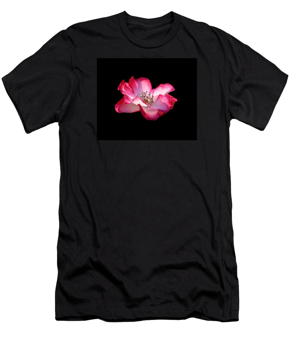 Rose T-Shirt featuring the photograph Mission Rose by Andre Aleksis